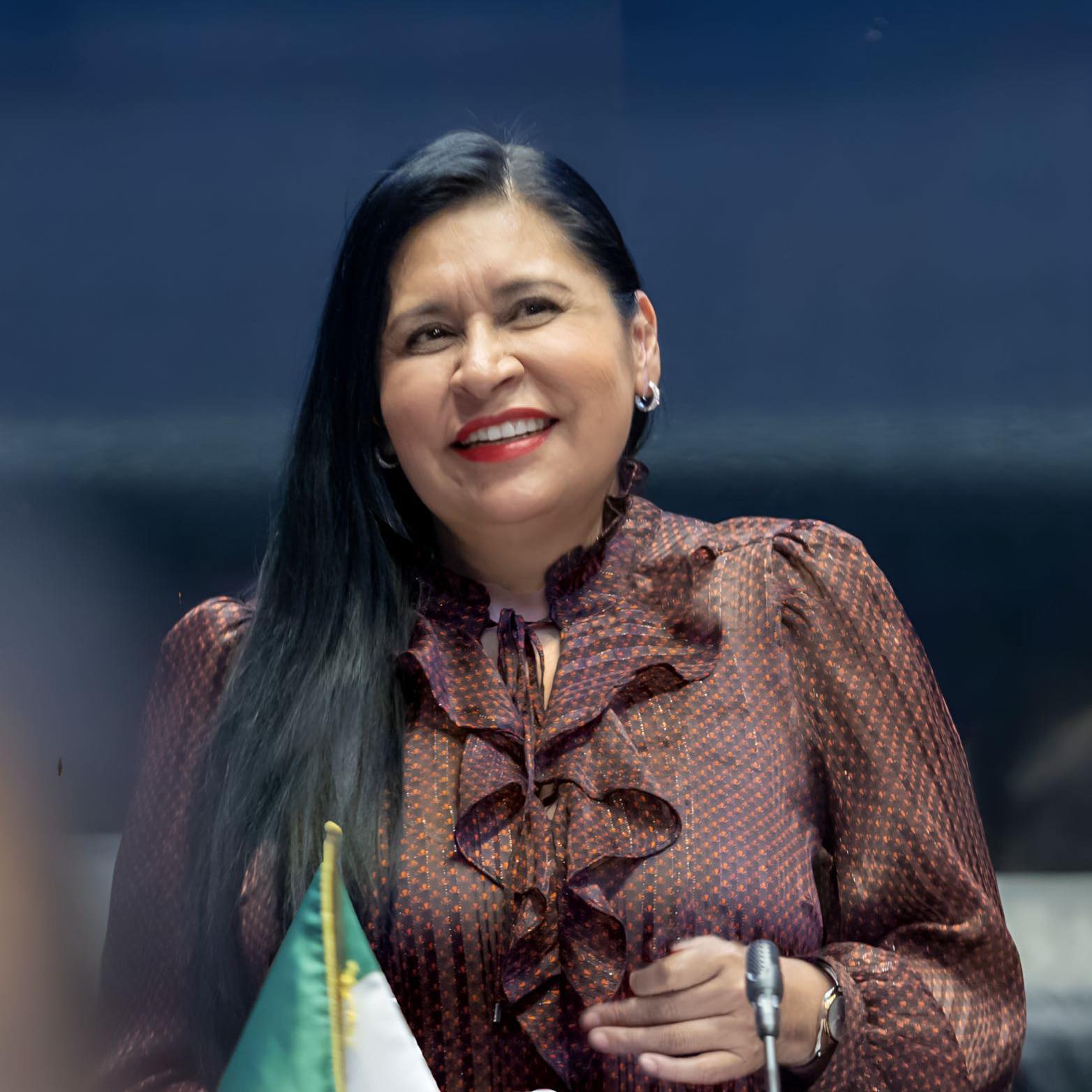 Ana Lilia Rivera impulsa Plan B electoral de Sheinbaum: vamos por instituciones más austeras y mejores servicios